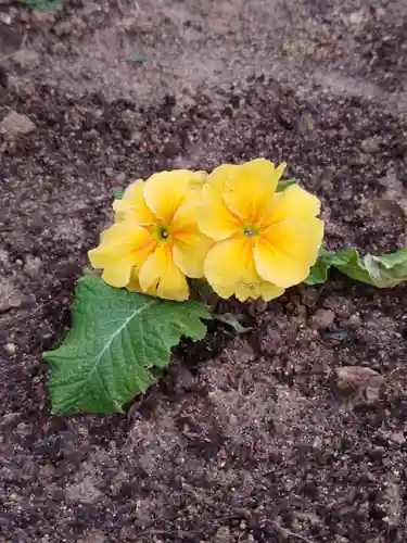 大鏑神社(福島県)