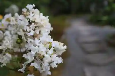 養徳院(京都府)