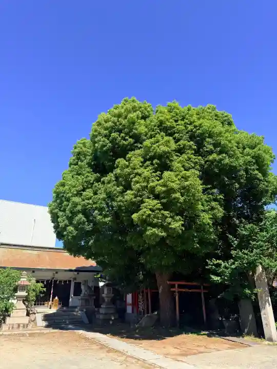 王子神社(兵庫県)