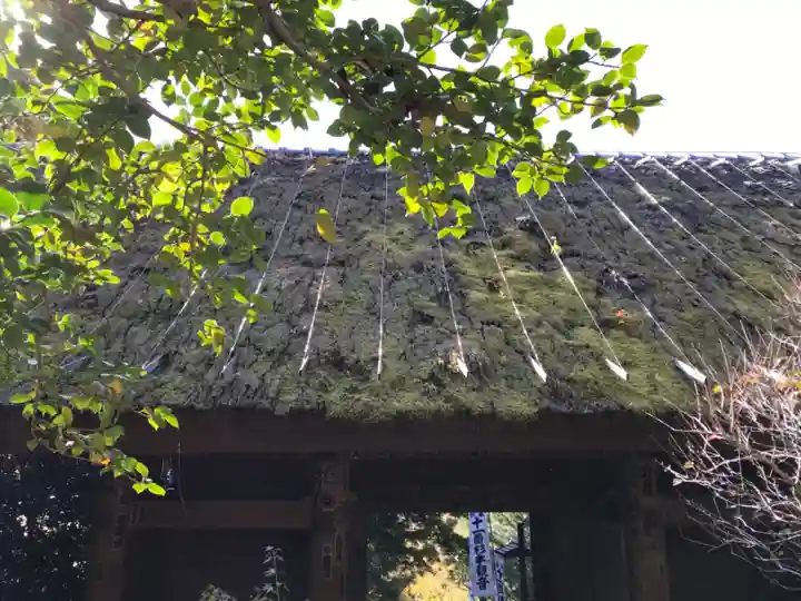 杉本寺の山門・神門