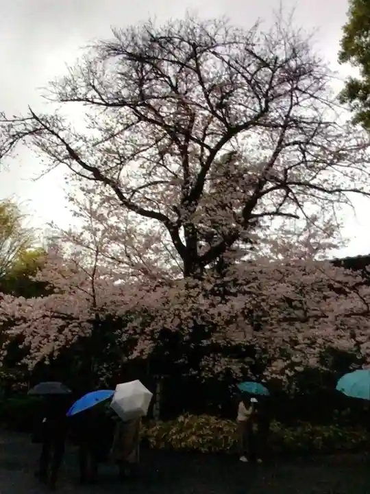 阿佐ヶ谷神明宮(東京都)