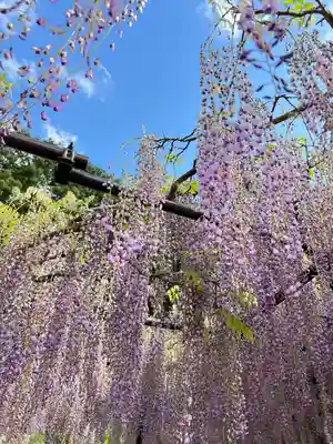 天台宗 五大山 白毫寺(兵庫県)
