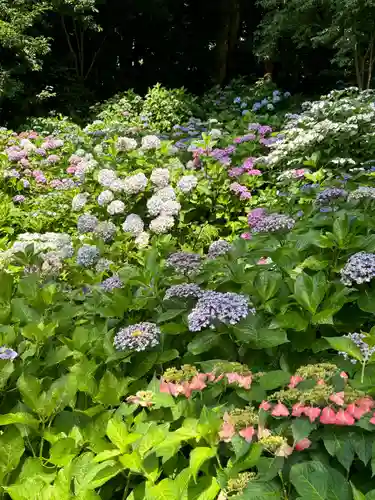 長谷寺(神奈川県)
