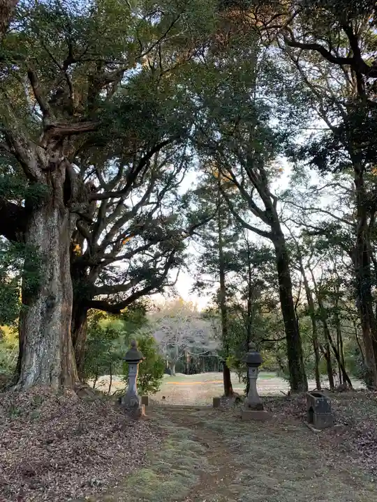 皇産霊神社の自然