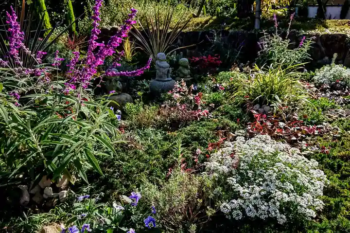 寿量山 速成寺の自然