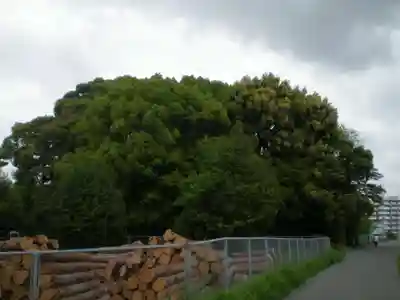 田上大水神社（豊受大神宮摂社）・田上大水御前神社（豊受大神宮摂社）の周辺