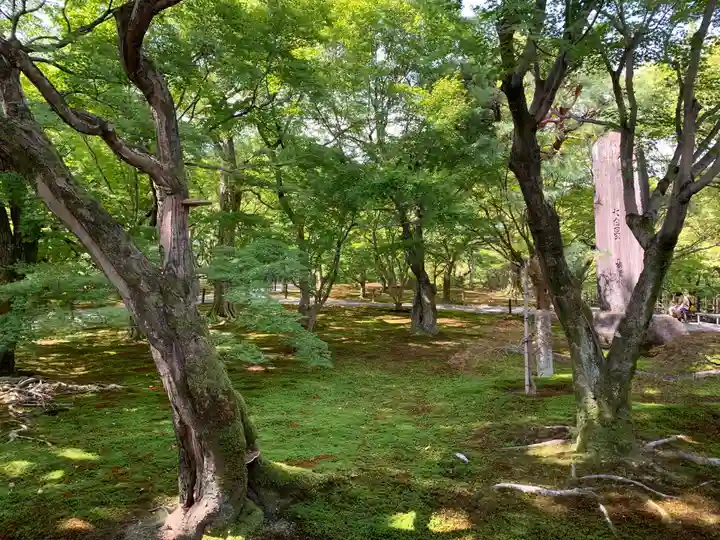 東福禅寺(東福寺)の自然