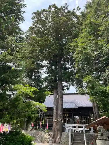 高司神社〜むすびの神の鎮まる社〜の自然