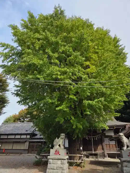 印内八坂神社(千葉県)