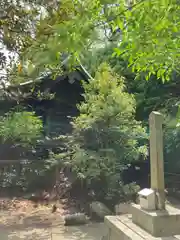 佐野八幡神社の本殿