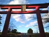 亀戸天神社の鳥居