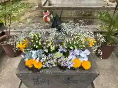 三光稲荷神社の手水