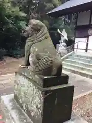 鷲神社の狛犬