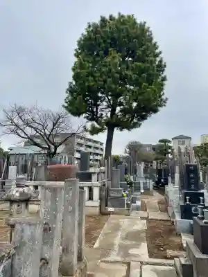 頤神襌院の{uncategorized: "未分類", other: "その他", undefined: "問題あり", building: "その他建物", grave: "お墓", sacred_gate: "鳥居", guardian: "狛犬", statue: "像", buddha: "仏像", history: "歴史", nature: "自然", garden: "庭園", animal: "動物", pagoda: "塔", temizu: "手水舎", mountain_gate: "山門・神門", sanctuary: "本殿・本堂", subordinate: "末社・摂社", art: "芸術", scenery: "景色", jizo: "地蔵", ema: "絵馬", goshuin: "御朱印", omikuji: "おみくじ", items: "授与品その他", amulet: "お守り", goshuincho: "御朱印帳", eats: "食事", festival: "お祭り", votive_dance: "神楽", shichigosan: "七五三参", wedding: "結婚式", experience: "体験その他", initially: "初詣", around: "周辺", anti_infection: "感染症対策"}