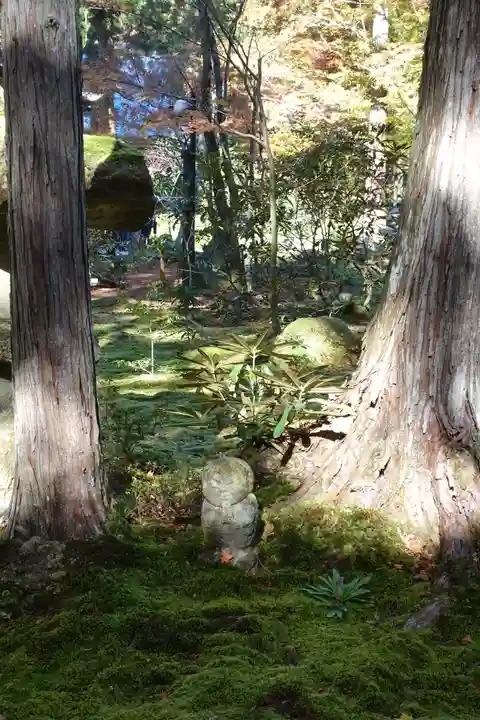 三千院門跡の自然