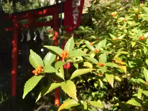 大綱金刀比羅神社(神奈川県)