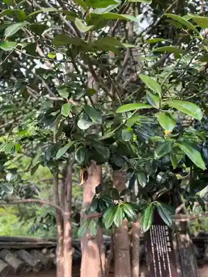 法起院(奈良県)