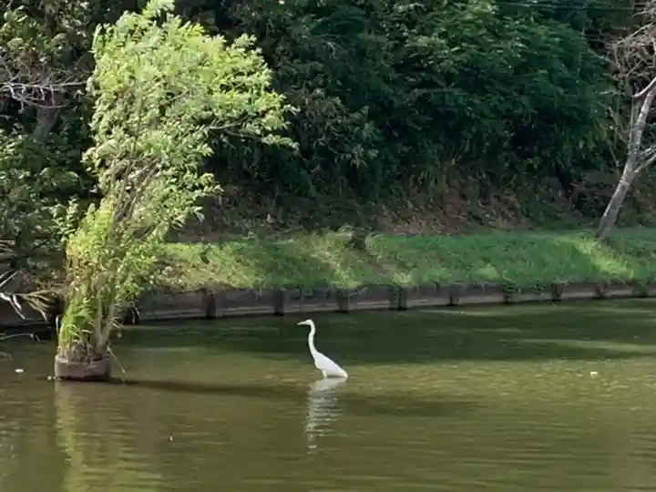 牟禮山観音禅寺の景色