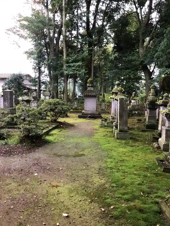 龍光寺のお墓