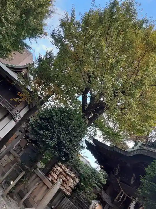 小野照崎神社(東京都)