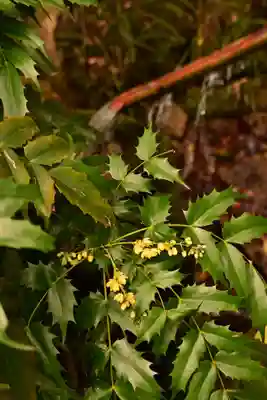 三瀧寺(広島県)