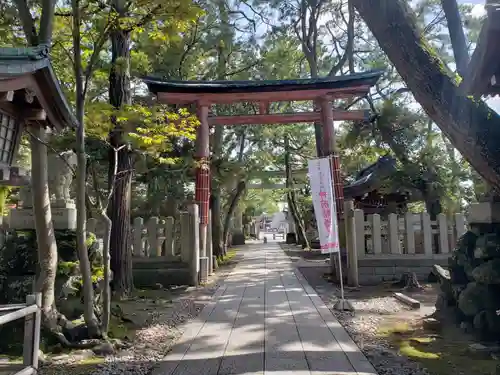 菟橋神社の鳥居