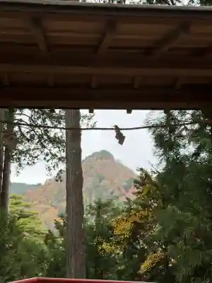 武蔵御嶽神社(東京都)