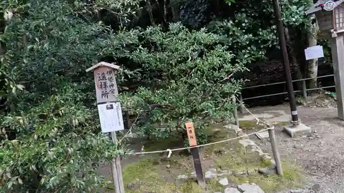 賀茂別雷神社（上賀茂神社）(京都府)
