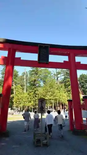 出羽神社(出羽三山神社)～三神合祭殿～の鳥居