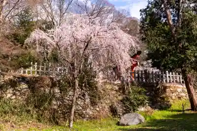 吉田神社(京都府)