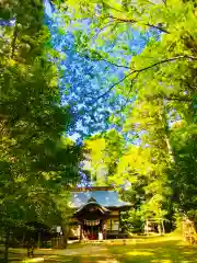 成田熊野神社(千葉県)