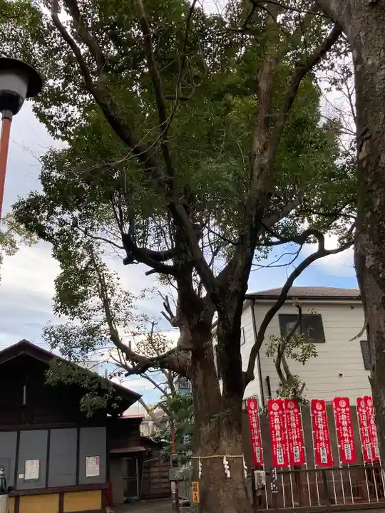笠䅣稲荷神社の自然