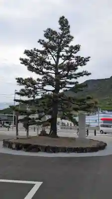 富丘八幡神社(香川県)
