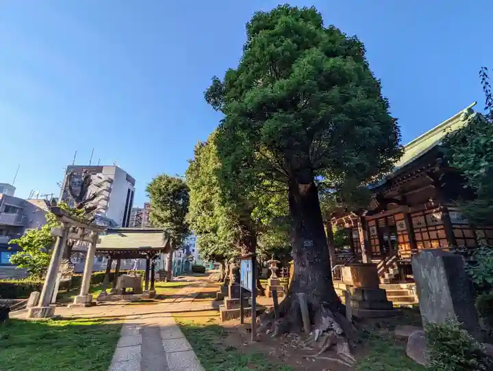 西向天神社(東京都)