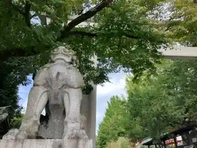 秩父神社の狛犬