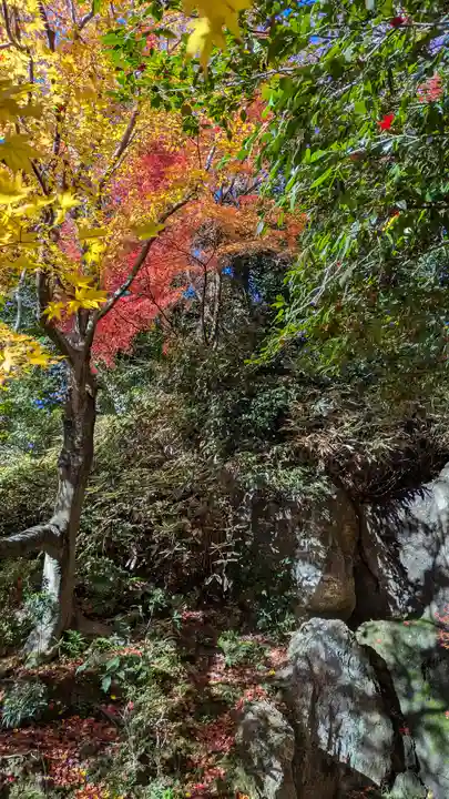 法金剛院(京都府)