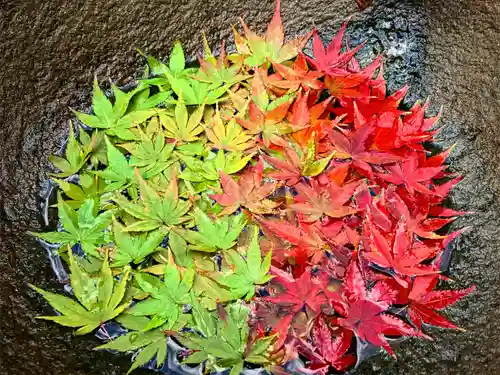 真言宗　善通寺派　薬王寺(香川県)