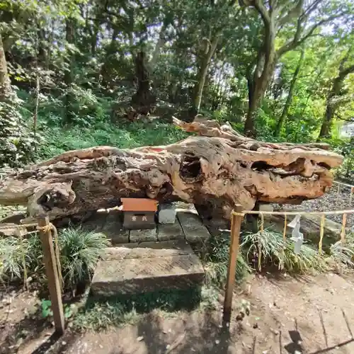 泉神社の建物その他