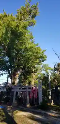 半田稲荷神社の鳥居