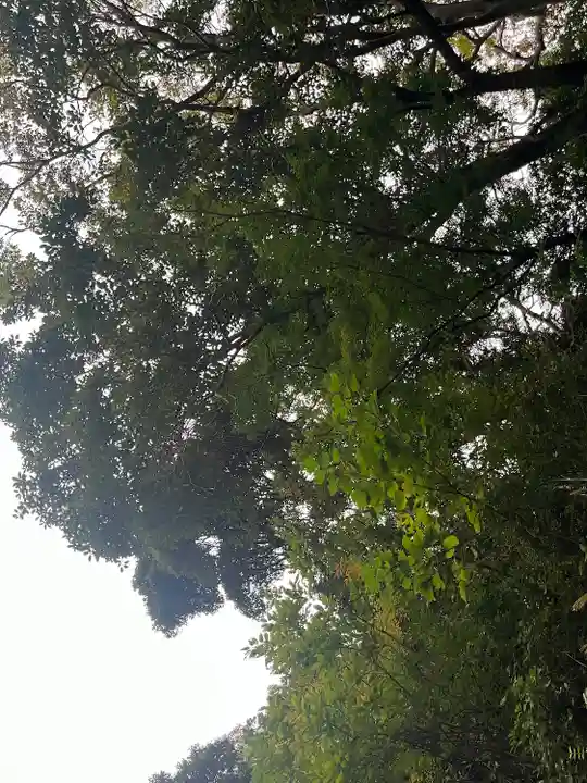 安房神社(千葉県)