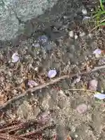 伊勢の国 四天王寺(三重県)