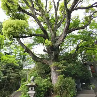 報徳二宮神社(神奈川県)