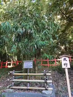 宇佐神宮(大分県)