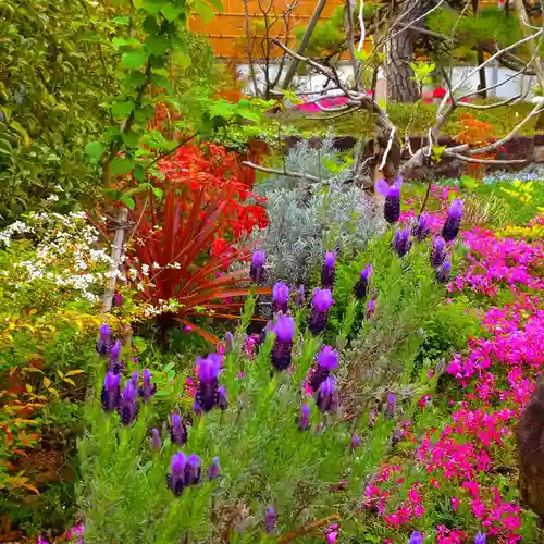 寿量山　速成寺(奈良県)
