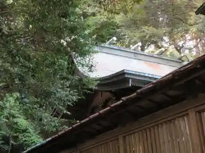 大頭龍神社の本殿・本堂