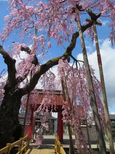 妙関寺(福島県)