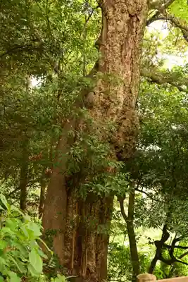 一畑薬師(島根県)