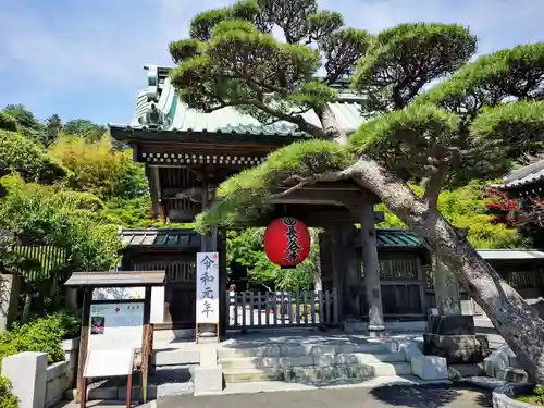 長谷寺の山門