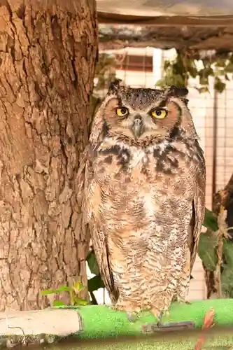 宮地嶽神社(福岡県)