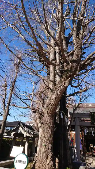 飛木稲荷神社の自然